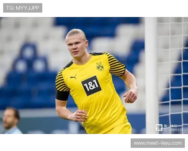 杰·伦·杰克逊二世单打效率提升显著 拉开球队锋线差距