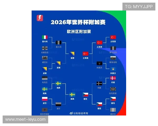 波黑冲击2026世界杯前景如何:预选赛出线形势与阵容分析